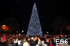 Cerimonia di accensione dell'albero di Natale alla rotonda di Corso Repubblica