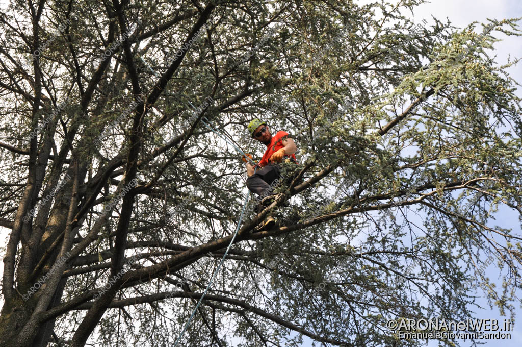 EGS2017_29898 | Dimostrazione di Tree Climbing - Idea Verde di Matteo Bizzotto