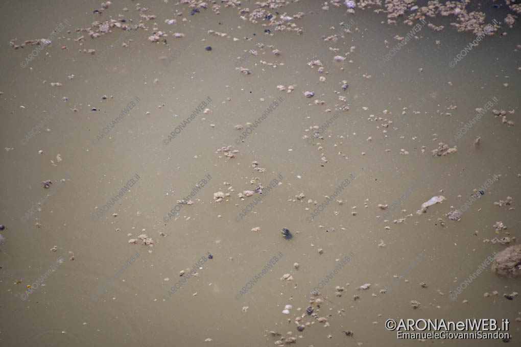 EGS2020_10862 | Scarico dello sfioratore del rio San Luigi in largo Caduti di Nassirya ad Arona sul Lago Maggiore