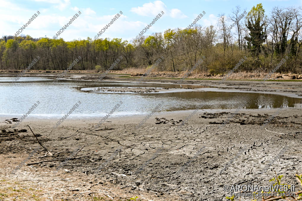 EGS2023_10485 | Cambiamento climatico e siccità: il lagone di Mercurago nel Parco dei Lagoni rischia di prosciugarsi
