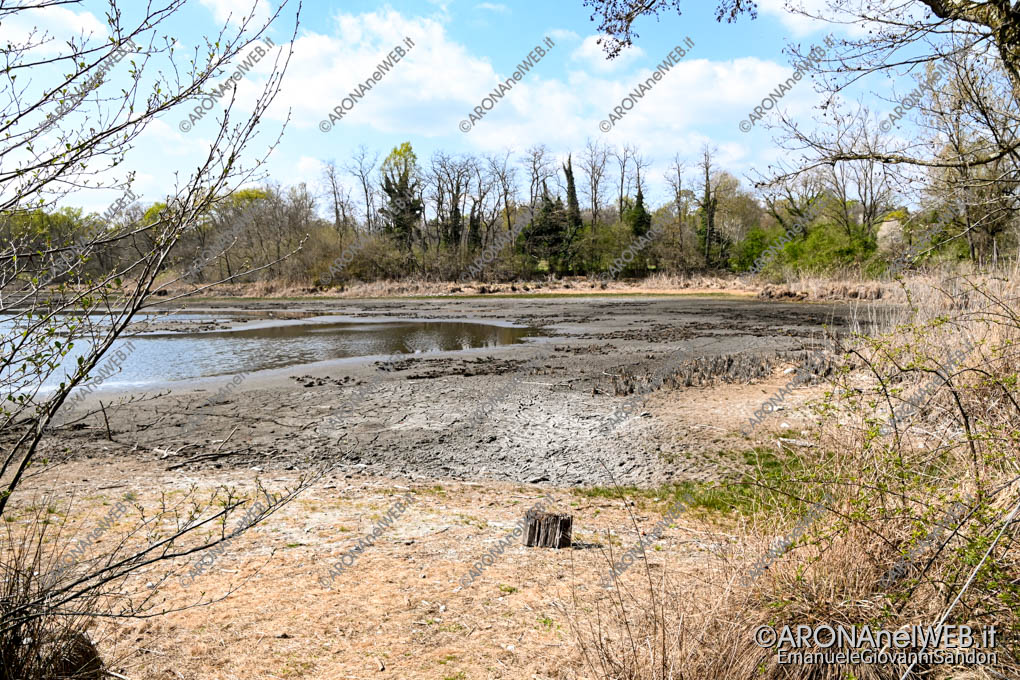 EGS2023_10493 | Cambiamento climatico e siccità: il lagone di Mercurago nel Parco dei Lagoni rischia di prosciugarsi
